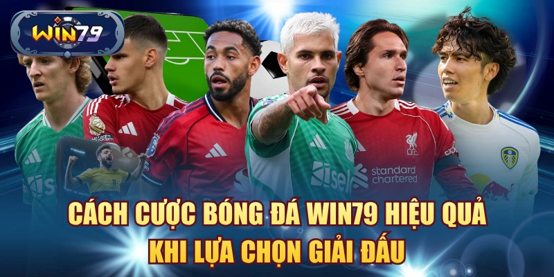 Cách cược bóng đá win79 hiệu quả khi lựa chọn giải đấu